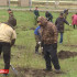 Жители Якутска присоединились к Всероссийской акции "Сад памяти"