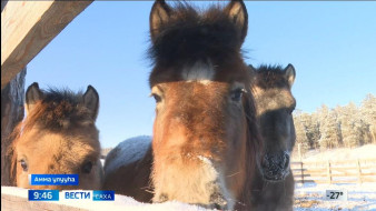 Выпуск "Вести Саха" 11.03.2026 (09:30)