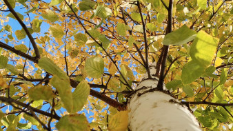 Прогноз погоды в Якутии на 17 сентября