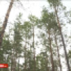 30 июня. День в истории - даты, события