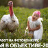 В Якутии стартовал приём заявок на фотоконкурс "Семья в объективе-2025"