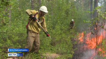 В Якутии действует 134 лесных пожара