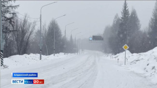РСЧС предупреждает о снегопадах и сильном ветре в ряде районов Якутии