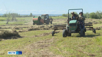 Саха сиригэр от үгэнэ