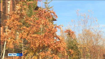 Синоптики прогнозируют похолодание в большинстве районов Якутии