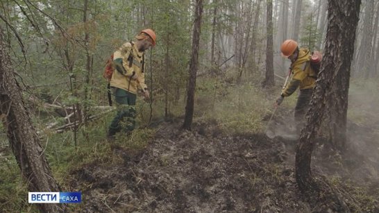 В Якутии действует 131 лесной пожар