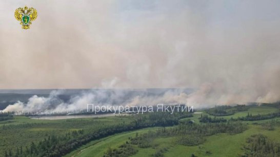 В Якутии взыскано 600 тыс рублей с виновника лесного пожара на его тушение