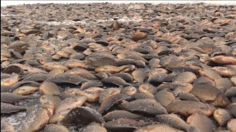 Выпуск "Вести Саха" 05.11.2025 (09:30) 