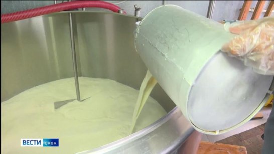В Якутии средства за перевыполнение плана направлены заготовителям молока