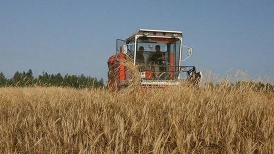 В Якутии предлагают устранить излишние административные процедуры для сельхоззаготовителей при получении субсидии
