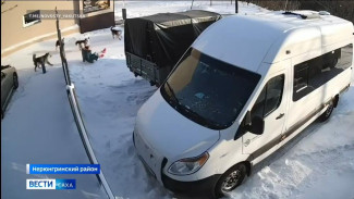 Глава СКР Александр Бастрыкин поручил доложить о расследовании нападения собак на женщину в Нерюнгри