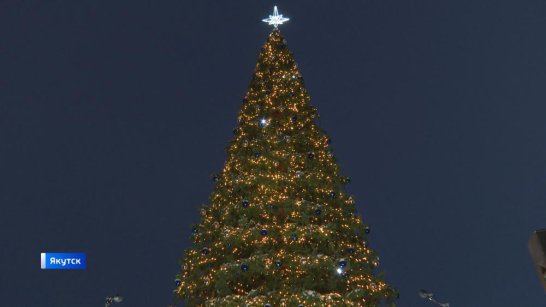 С 5 ноября на площади Республики начнется установка новогодней елки