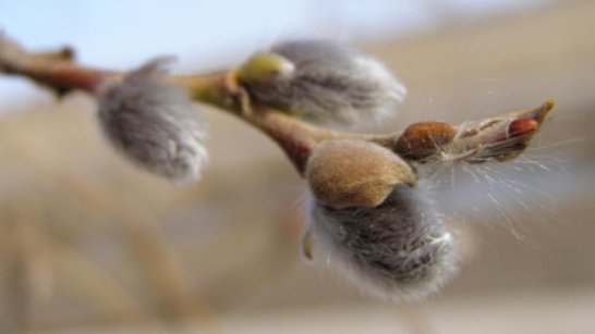 Прогноз погоды в Якутске на 25 апреля