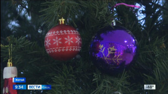 Выпуск "Вести Саха" 25.12.2025 (09:30)