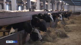 Стали известны победители конкурсного отбора на получение гранта "Агростартап"