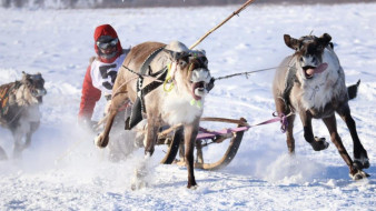 IV игры народов Севера завершились в селе Батагай-Алыта 
