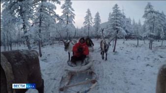 Выпуск "Вести Саха" 12.01.2026 (11:30)