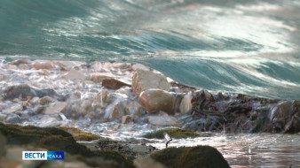 Изменение климата в Якутии. Какие методы разрабатывают в регионе для адаптации?