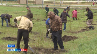 Жители Якутска присоединились к Всероссийской акции "Сад памяти"