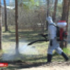 Саха сиригэр клещкэ ытыттарыы 40 тахса түгэнэ бэлиэтэннэ