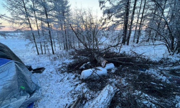В Нюрбинском районе организована проверка по факту дорожно-транспортного происшествия