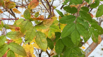 Прогноз погоды в Якутии на 24 сентября