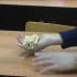 Неделя якутской культуры прошла в Северо-Восточном Федеральном Университете