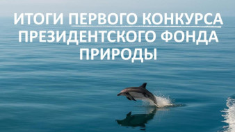 Три экологических проекта Якутии выиграли гранты Президентского фонда природы