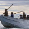 Правительство расширило поддержку КМНС в области морского зверобойного промысла