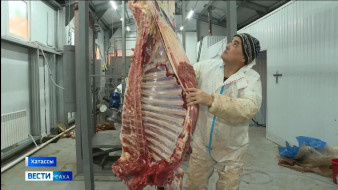 На территории городского округа "Город Якутск" открыли первый убойный цех крупного рогатого скота