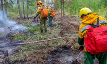 3 лесных пожара ликвидировано в Якутии за сутки