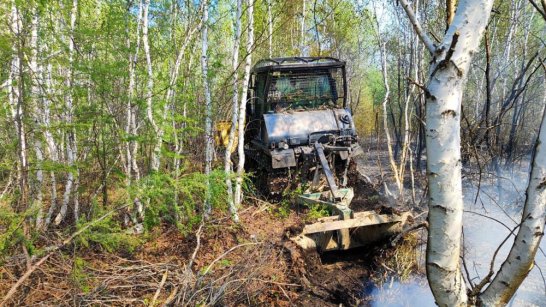 В 4 районах Якутии установится V класс пожарной опасности леса