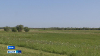 Өрөспүүбүлүкэ үрдүнэн уопсайа 80 тыһ. тахса туонна от оттонно