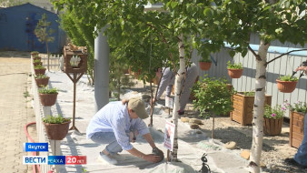 В Якутске благоустроят 16 дворовых территорий в этом году