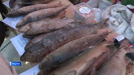В Якутске состоится XV республиканская ярмарка "Рыба Якутии"
