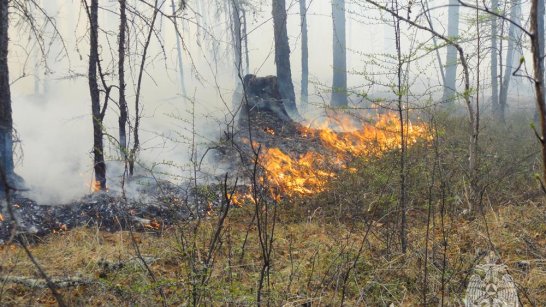 На территории Центральной Якутии установлен пожароопасный сезон