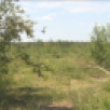 В Якутии проверили готовность более 280 населённых пунктов к пожароопасному сезону