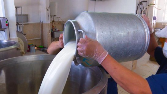 Высокие показатели: план по заготовке молока будет перевыполнен в Якутии
