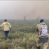 В Якутии за последние сутки ликвидировано 5 лесных пожаров