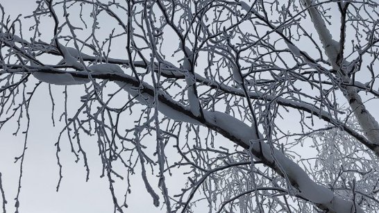 Прогноз погоды в Якутии на 8 декабря