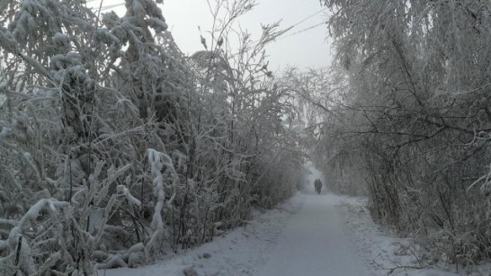 Прогноз погоды в Якутске на 21 февраля