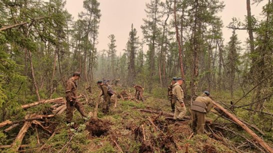 Подписан сводный план тушения лесных пожаров в 2023 году на территории Якутии 