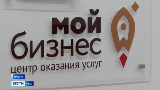 Субъекты малого и среднего предпринимательства Якутии увеличили оборот на 11,9%