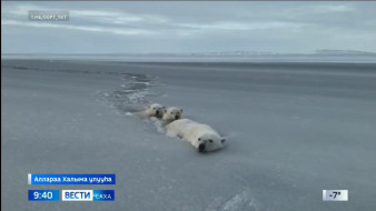 Выпуск "Вести Саха" 21.10.2025 (09:30)