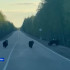 В Якутии зафиксировали новые случаи появления медведей рядом с людьми
