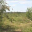 В Якутии нет действующих природных пожаров