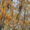 16 сентября. День в истории - даты, события