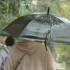 Синоптики прогнозируют дожди в большинстве районов Якутии и в Якутске