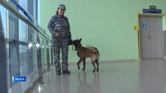 В Якутске впервые состоялся Кубок по многоборью среди кинологов правоохранительных органов