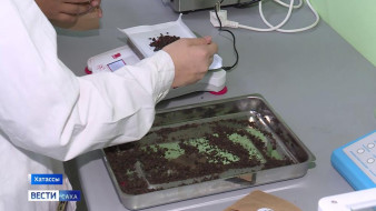 Ученики Хатасской агрошколы производят продукты собственной разработки